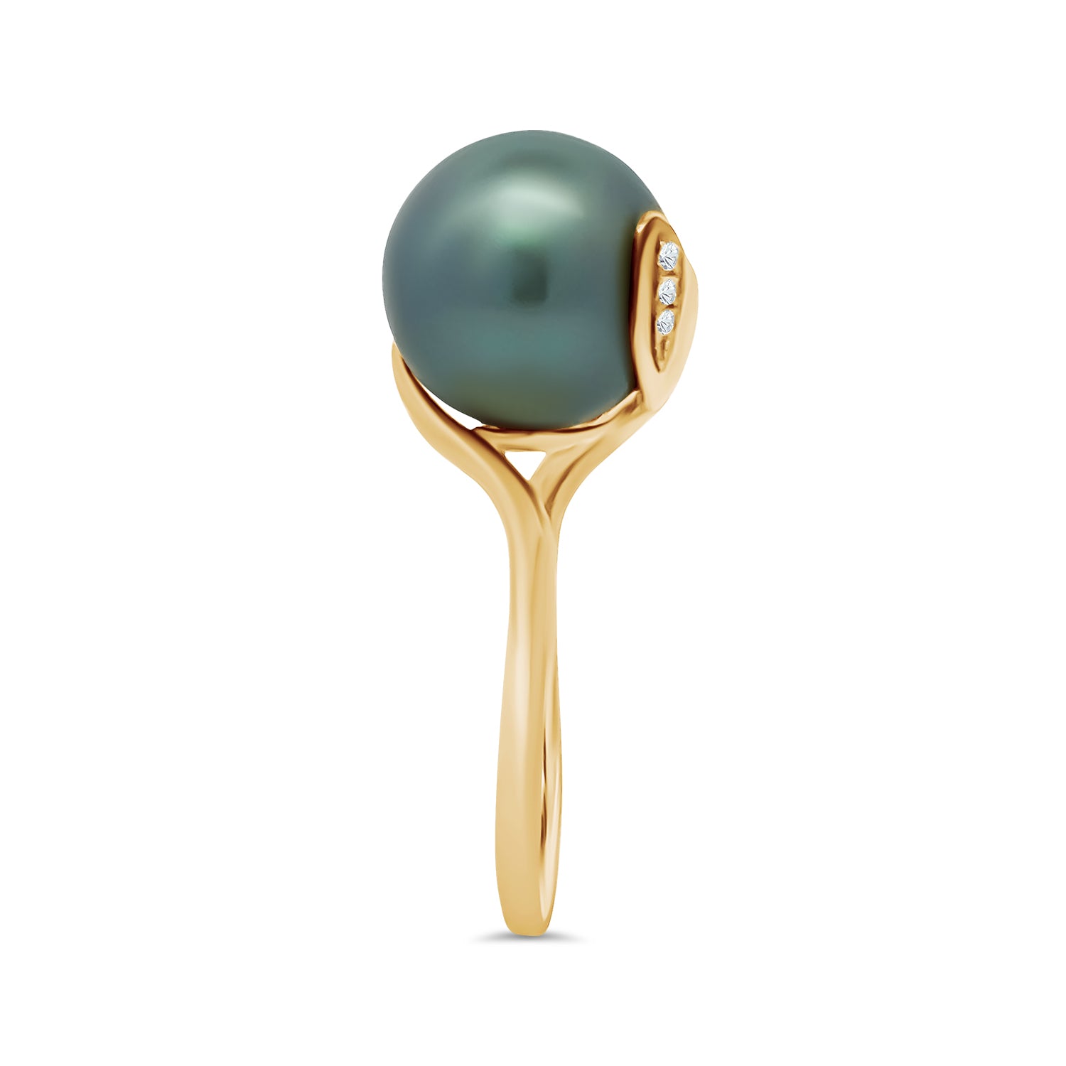 Black South Sea Pearl Diamond Ring