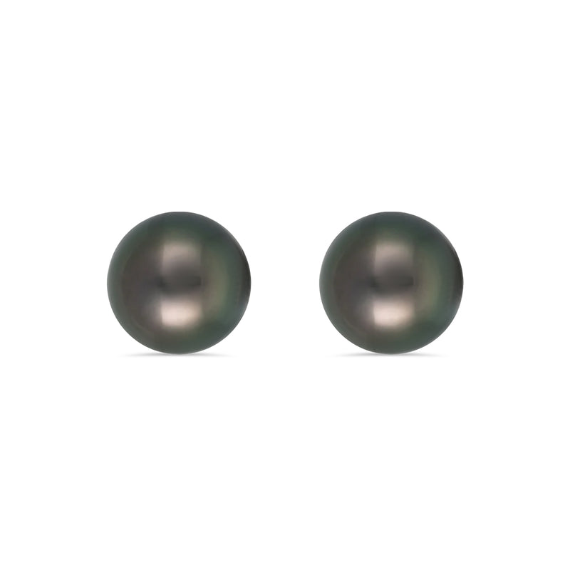 Black South Sea Pearl Round Stud Earrings