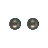 Black South Sea Pearl Round Stud Earrings