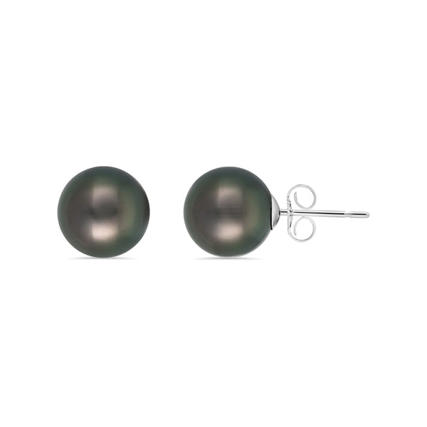 Black South Sea Pearl Round Stud Earrings