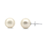 South Sea Pearl Stud Earrings