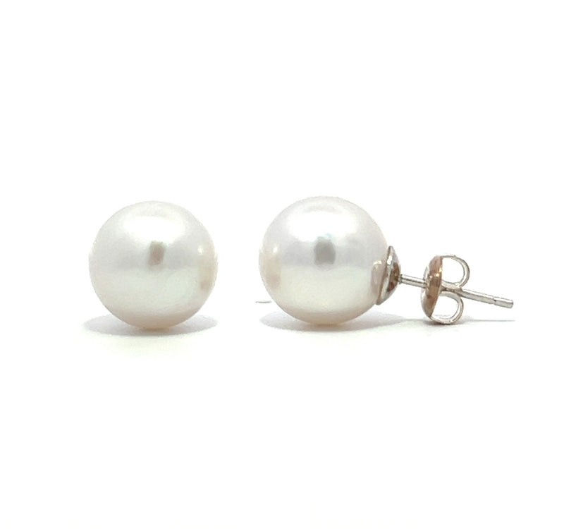 White Freshwater Pearl Stud Earrings