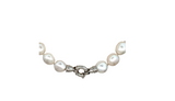 Irregular White Freshwater Pearl Necklace