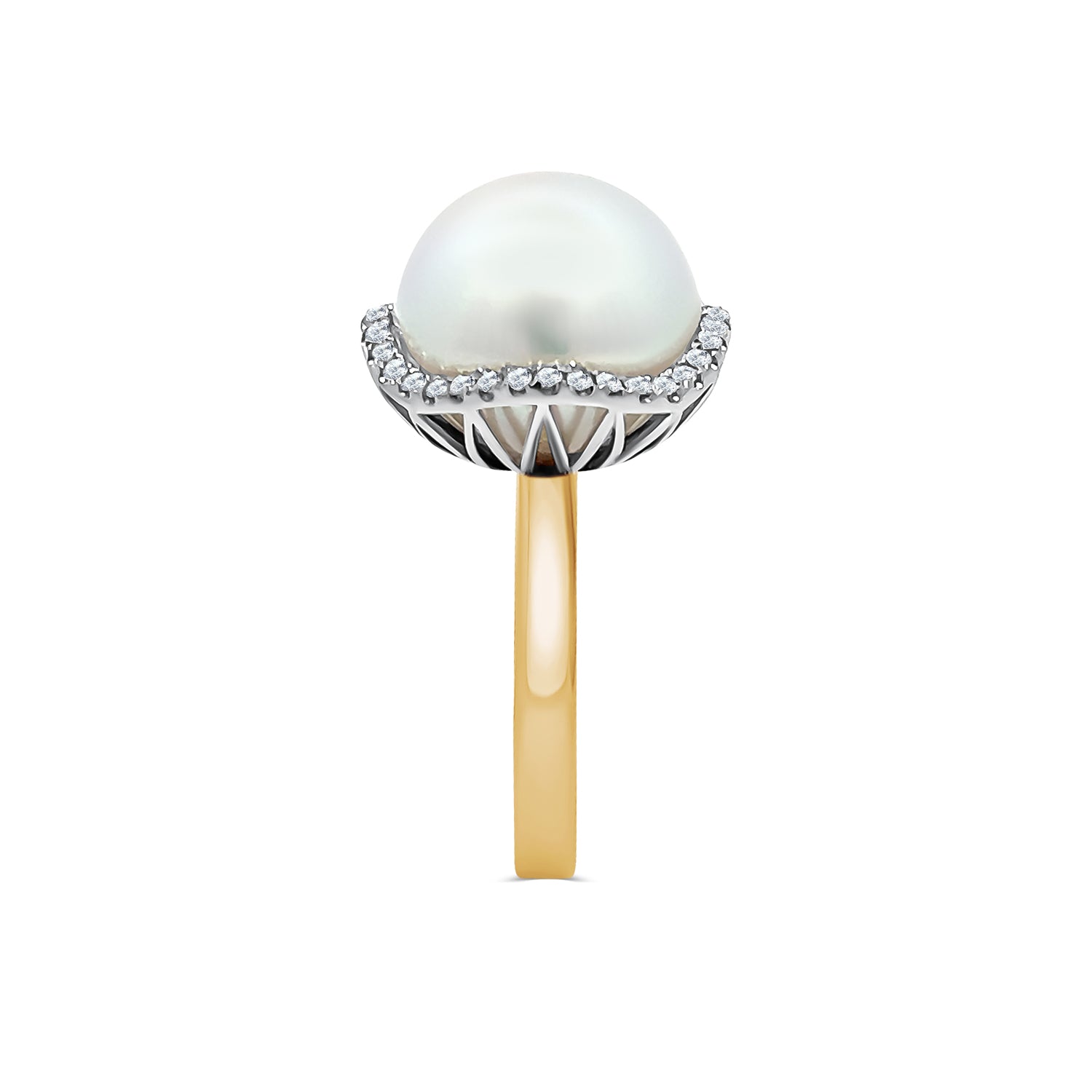 South Sea Pearl Diamond Halo Ring