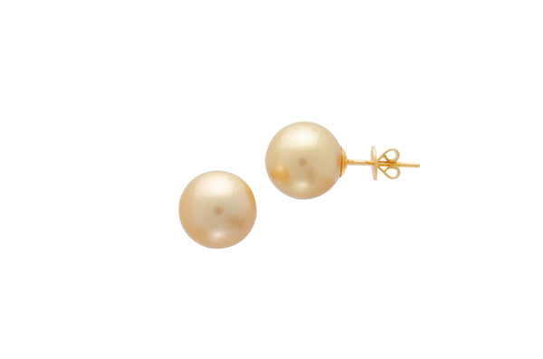 Golden Akoya Pearl Stud Earrings